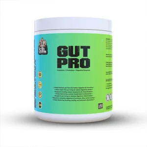 best gut health supplement in india
